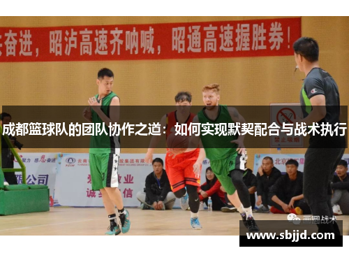 成都篮球队的团队协作之道：如何实现默契配合与战术执行