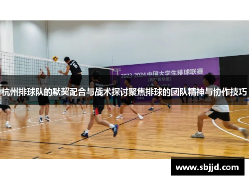 杭州排球队的默契配合与战术探讨聚焦排球的团队精神与协作技巧