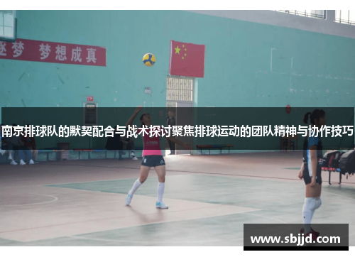 南京排球队的默契配合与战术探讨聚焦排球运动的团队精神与协作技巧