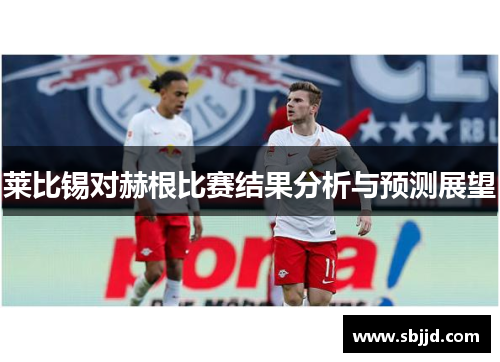 莱比锡对赫根比赛结果分析与预测展望