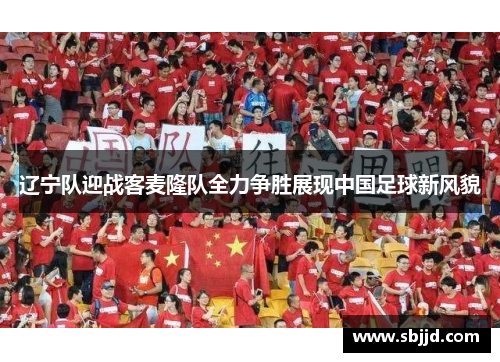 辽宁队迎战客麦隆队全力争胜展现中国足球新风貌